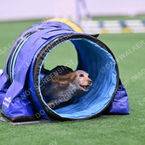 Wendy-Julie-Ashley-00761