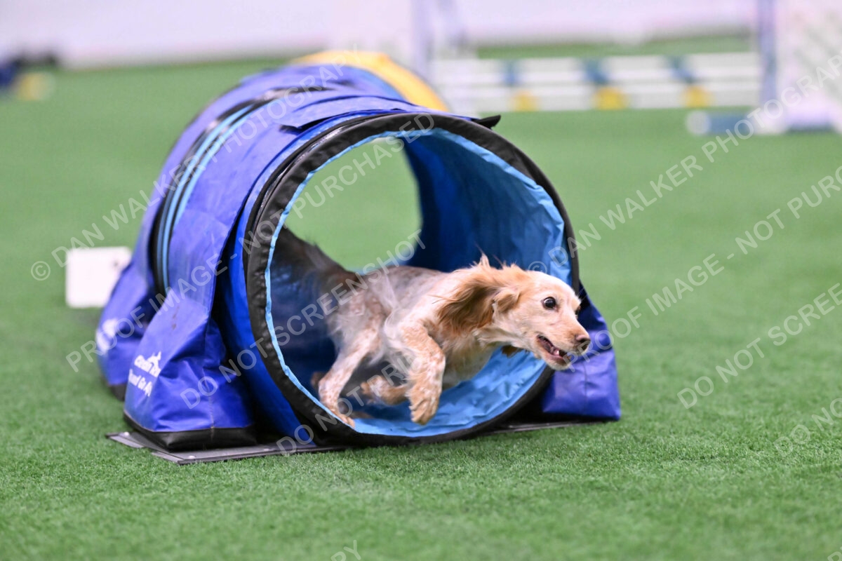 Wendy-Julie-Ashley-00762