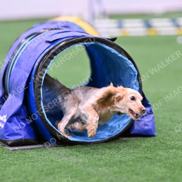 Wendy-Julie-Ashley-00762