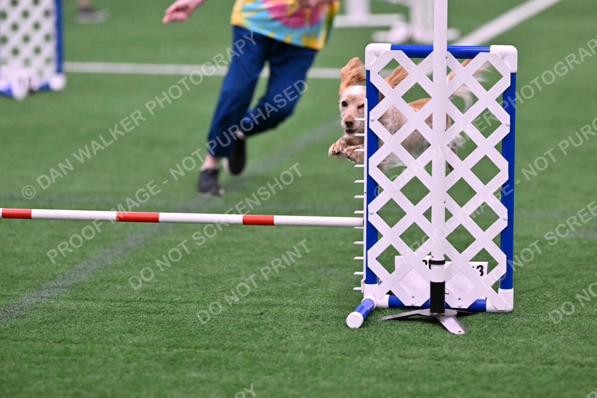 Wendy-Julie-Ashley-00768