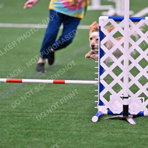 Wendy-Julie-Ashley-00768