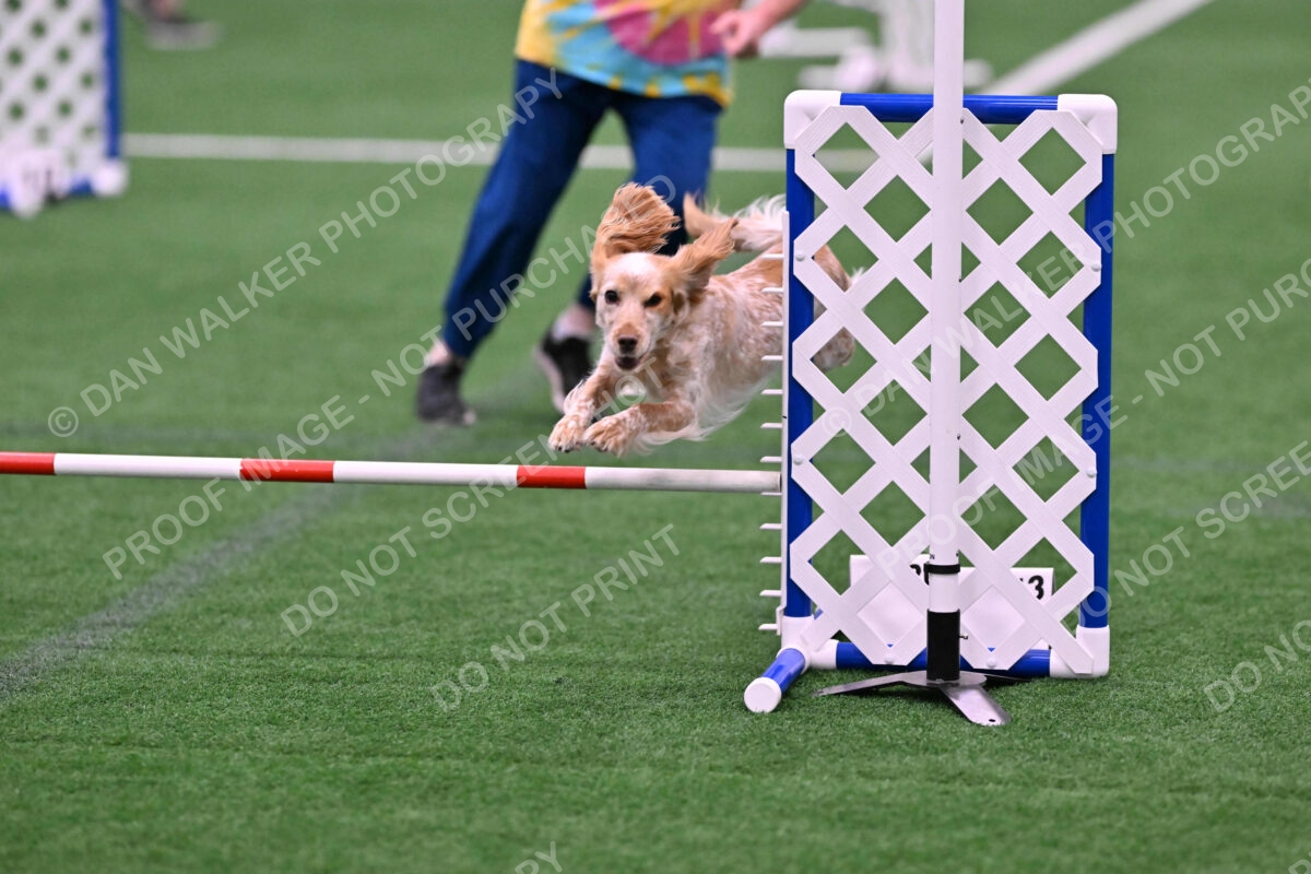 Wendy-Julie-Ashley-00769