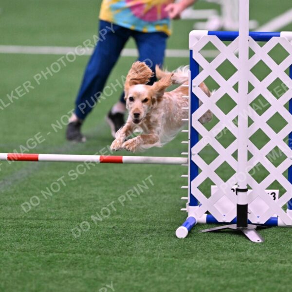 Wendy-Julie-Ashley-00769