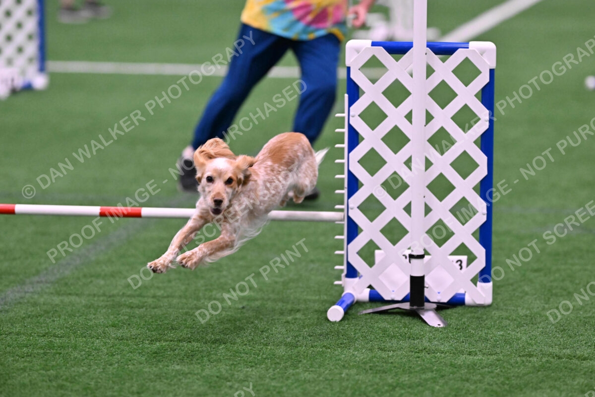 Wendy-Julie-Ashley-00770