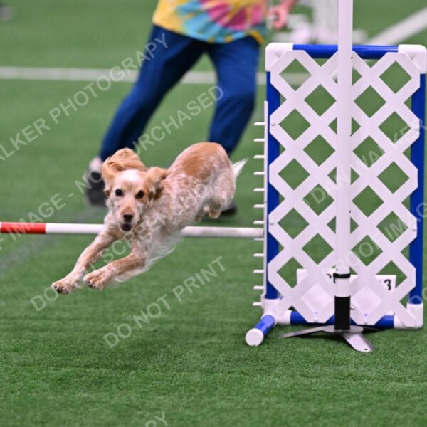 Wendy-Julie-Ashley-00770