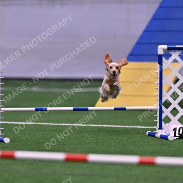 Wendy-Julie-Ashley-00776