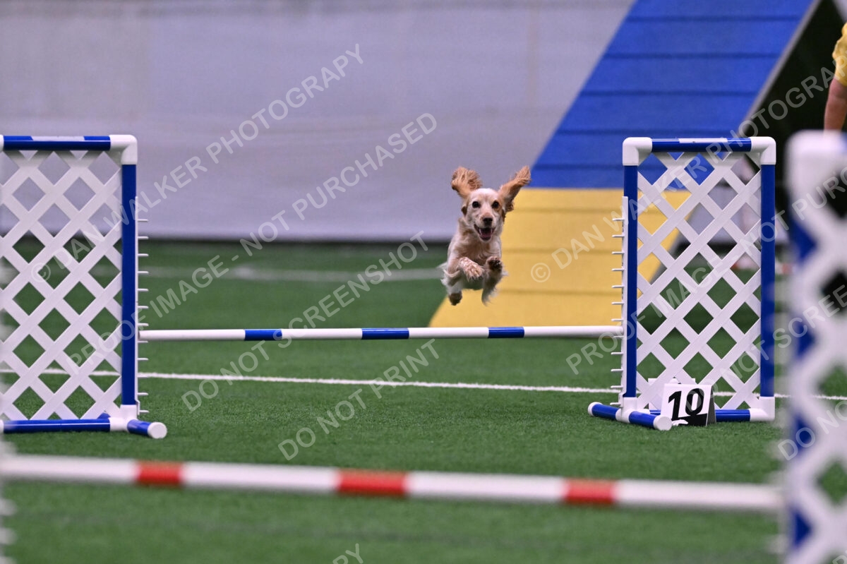 Wendy-Julie-Ashley-00777