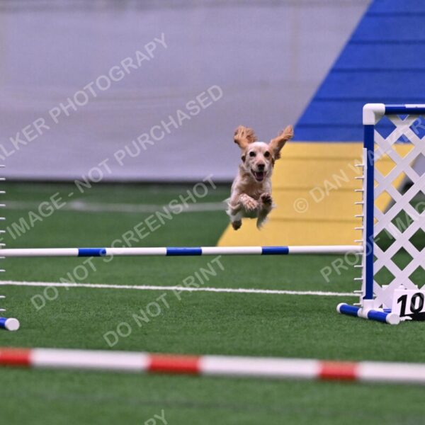 Wendy-Julie-Ashley-00777