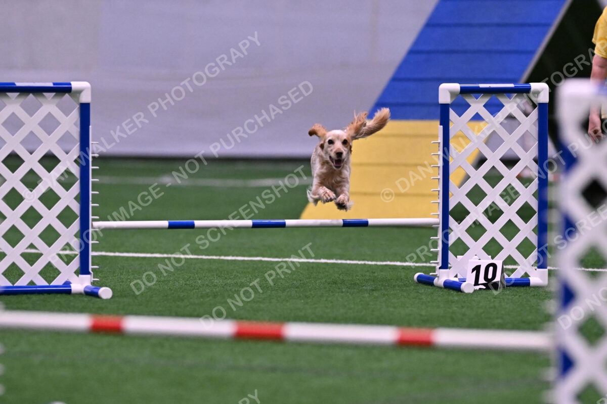 Wendy-Julie-Ashley-00778