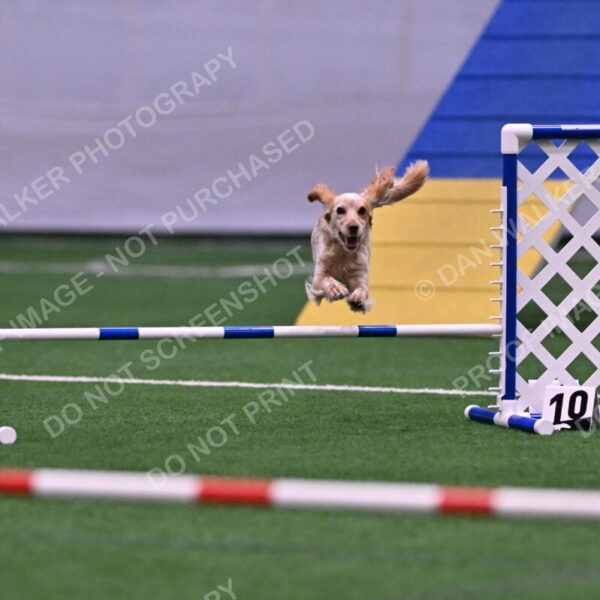 Wendy-Julie-Ashley-00778