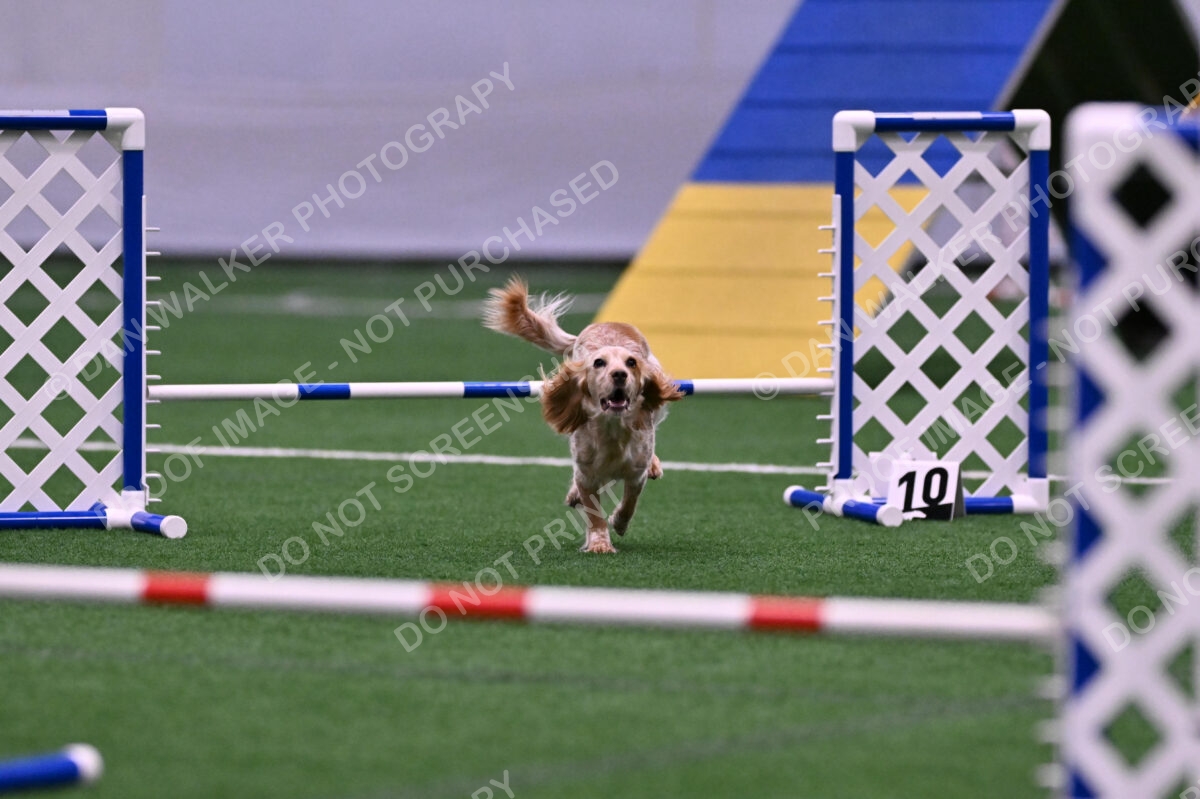 Wendy-Julie-Ashley-00779