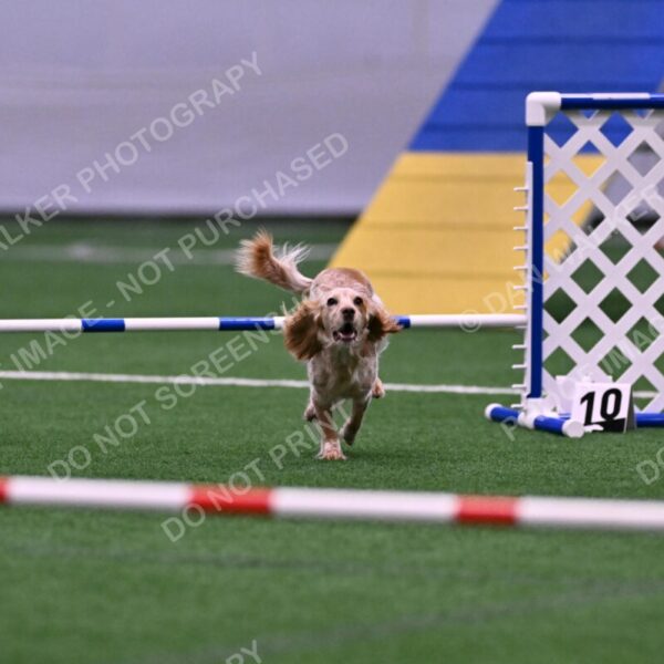 Wendy-Julie-Ashley-00779