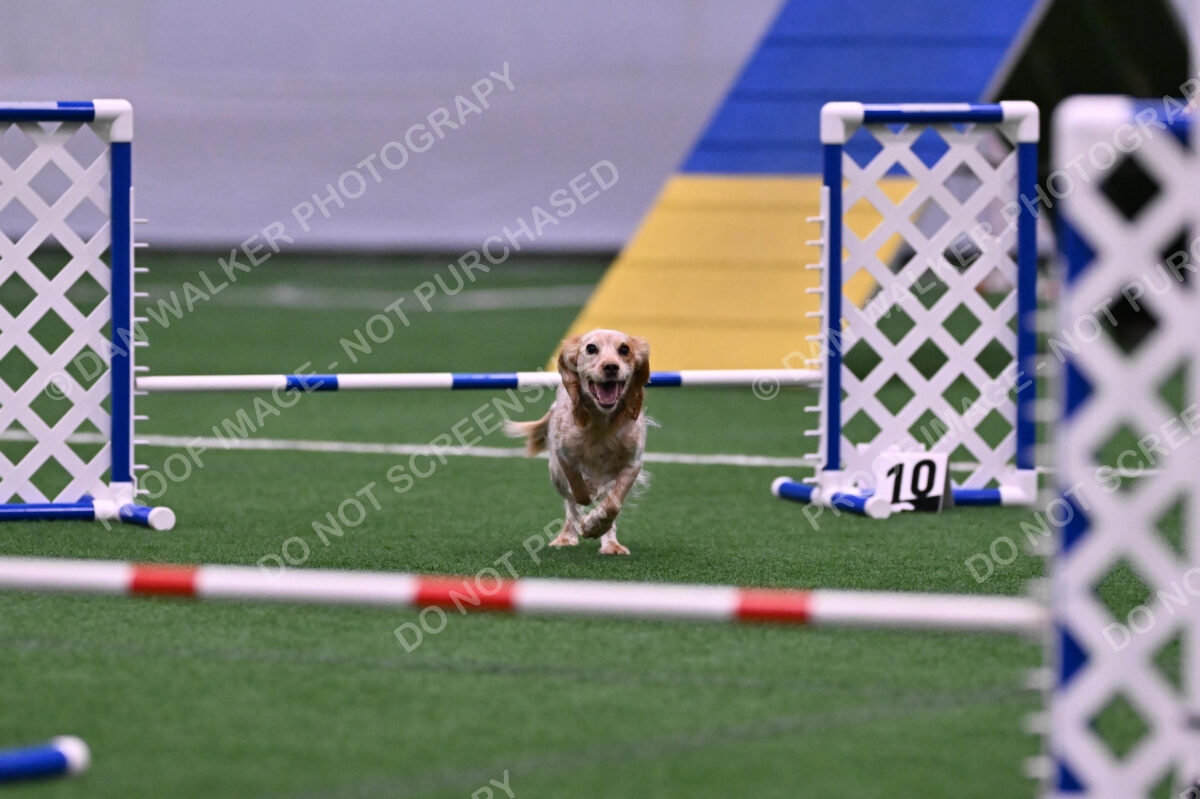 Wendy-Julie-Ashley-00780