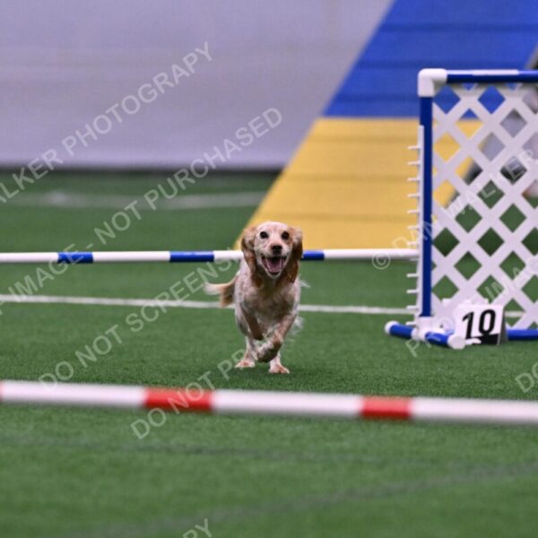 Wendy-Julie-Ashley-00780