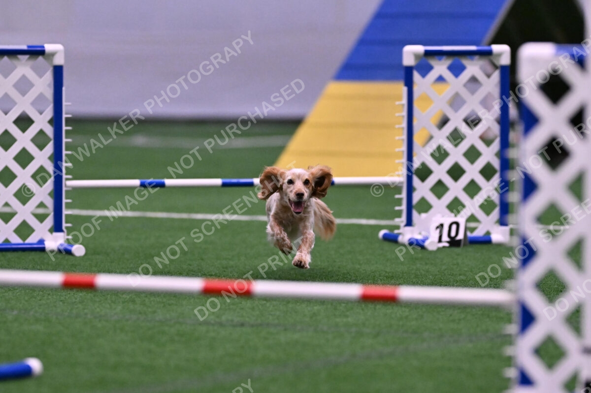 Wendy-Julie-Ashley-00781