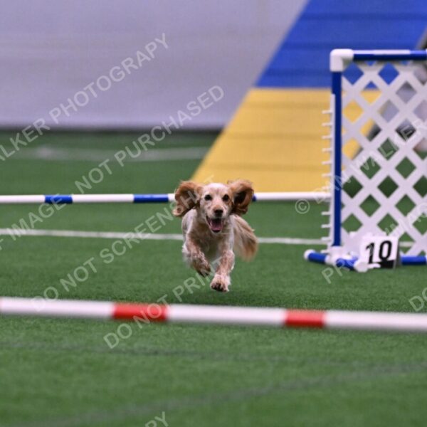 Wendy-Julie-Ashley-00781