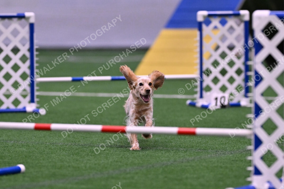 Wendy-Julie-Ashley-00785