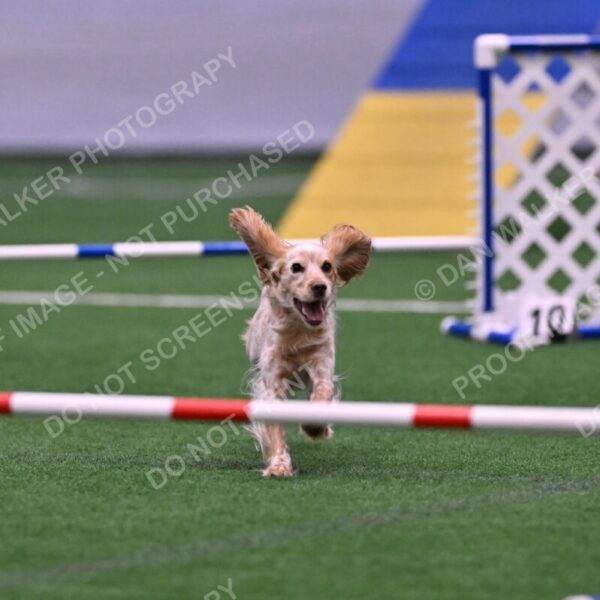 Wendy-Julie-Ashley-00785