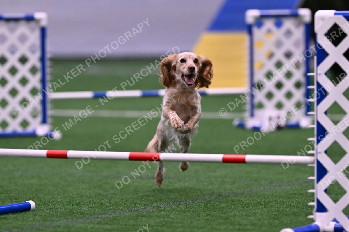 Wendy-Julie-Ashley-00788