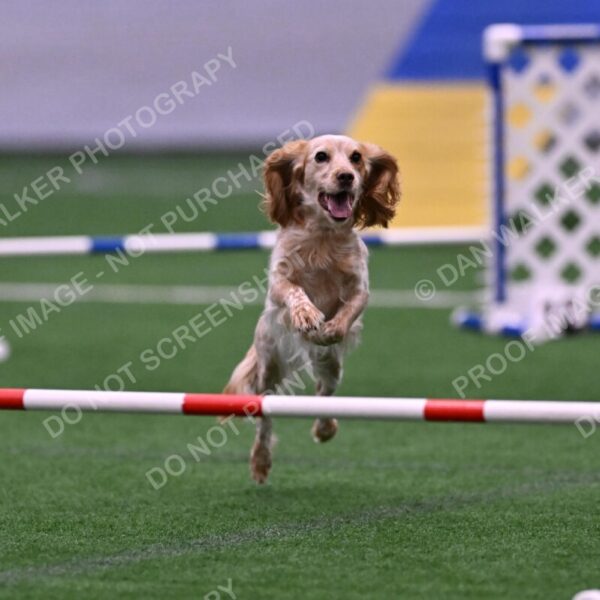 Wendy-Julie-Ashley-00788