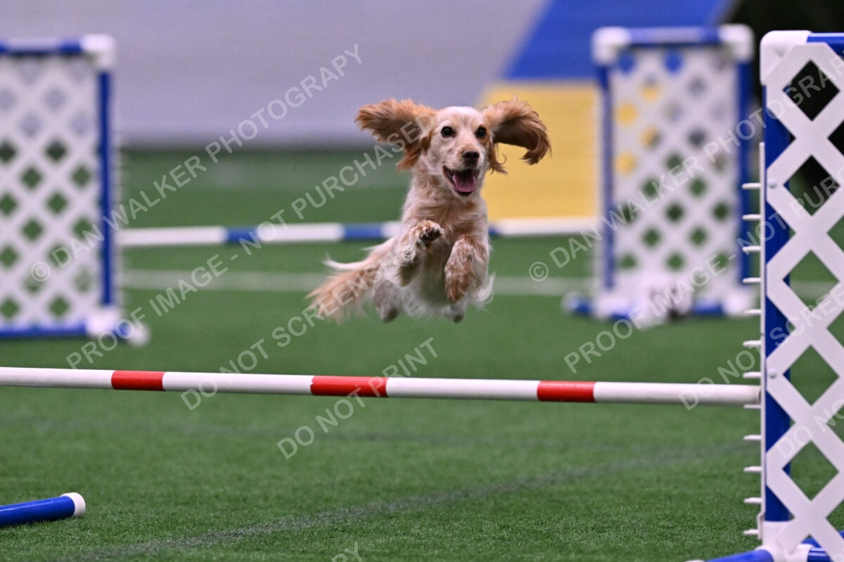 Wendy-Julie-Ashley-00789