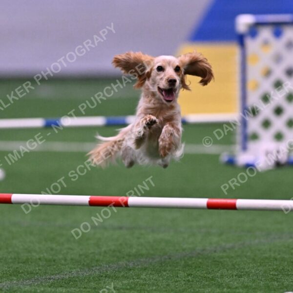 Wendy-Julie-Ashley-00789