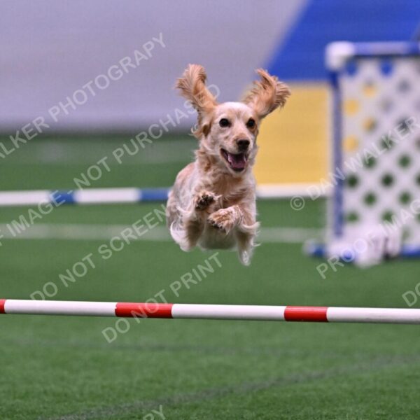 Wendy-Julie-Ashley-00790