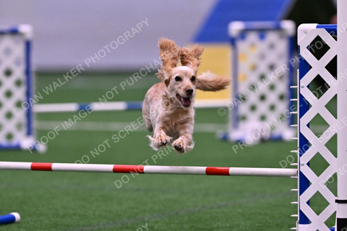 Wendy-Julie-Ashley-00791