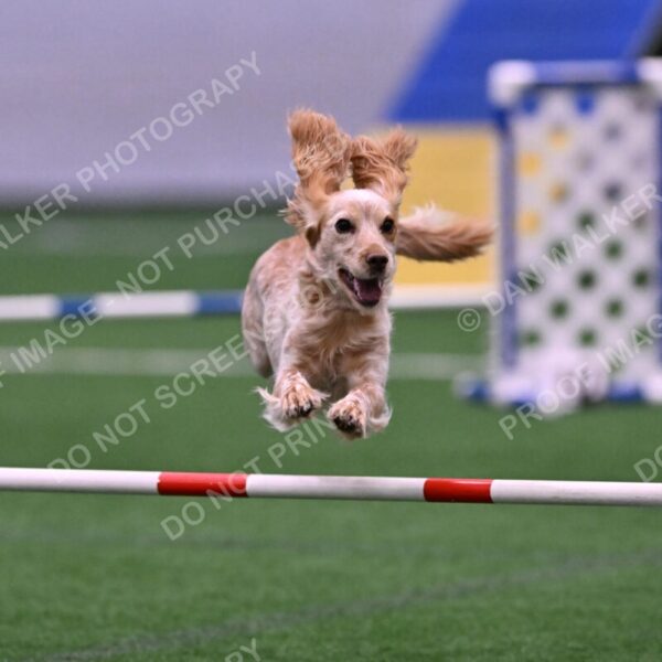 Wendy-Julie-Ashley-00791