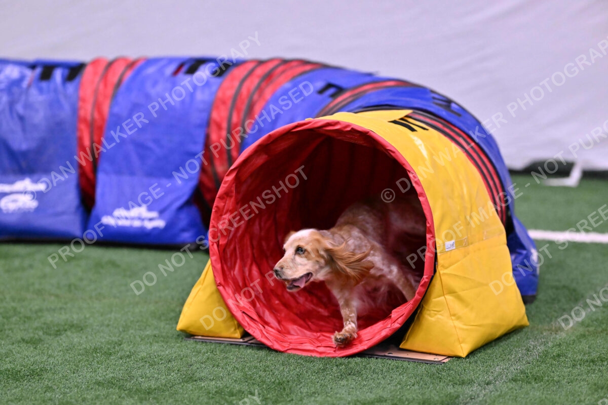 Wendy-Julie-Ashley-00799