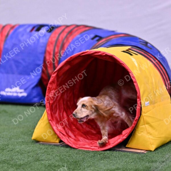 Wendy-Julie-Ashley-00799