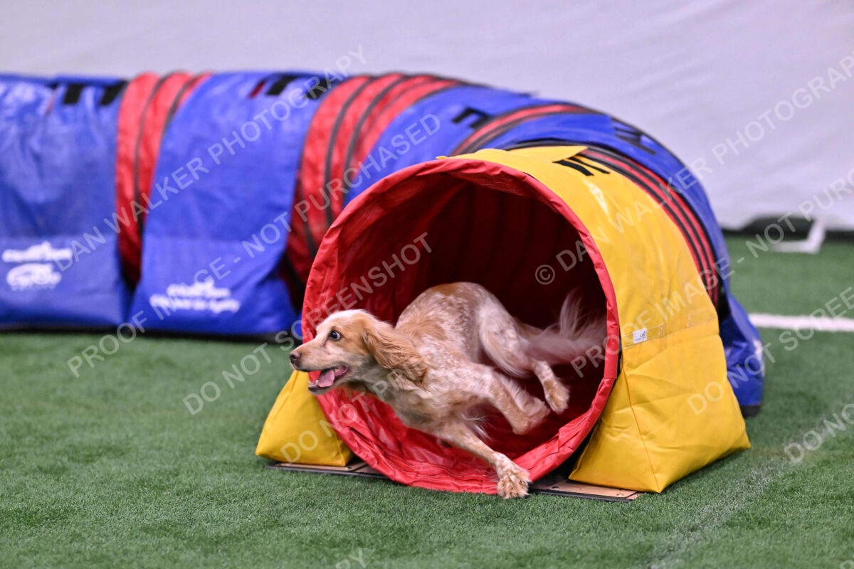 Wendy-Julie-Ashley-00800