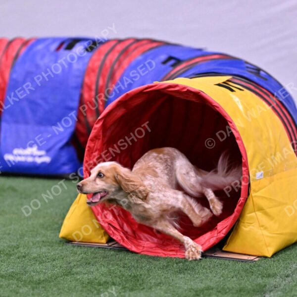 Wendy-Julie-Ashley-00800