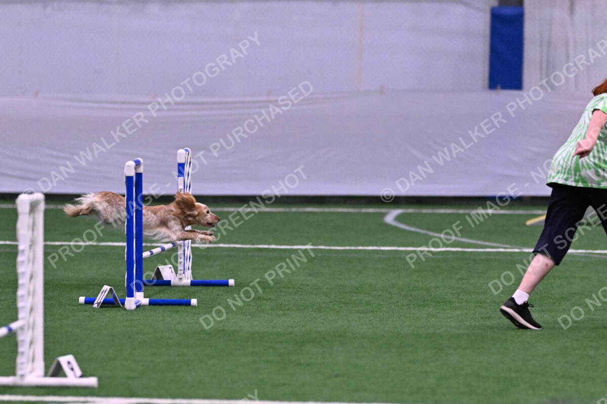 Wendy-Julie-Ashley-00803