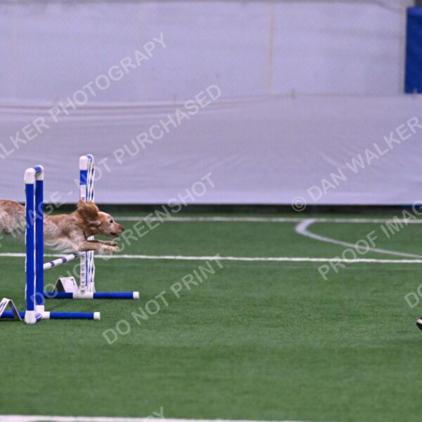 Wendy-Julie-Ashley-00803