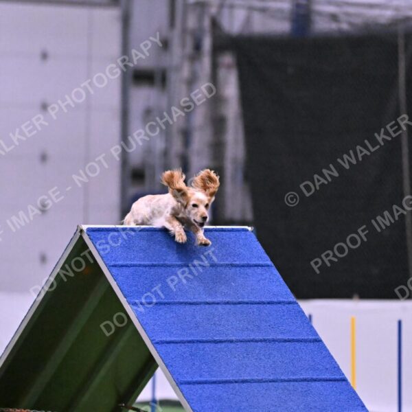 Wendy-Julie-Ashley-00807