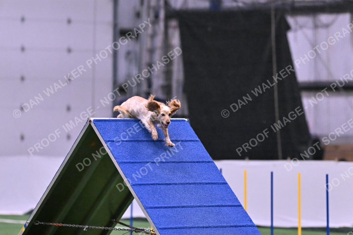 Wendy-Julie-Ashley-00808