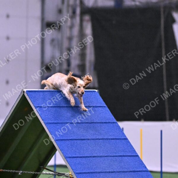 Wendy-Julie-Ashley-00808