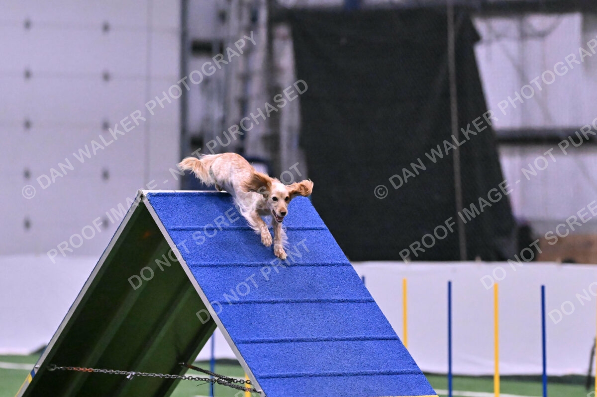 Wendy-Julie-Ashley-00809