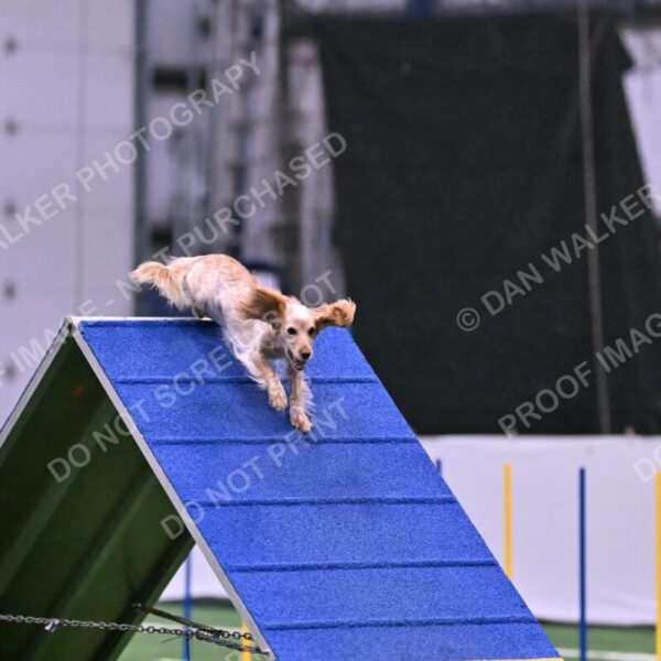 Wendy-Julie-Ashley-00809