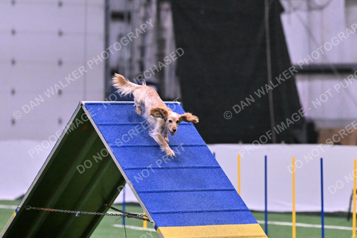 Wendy-Julie-Ashley-00810