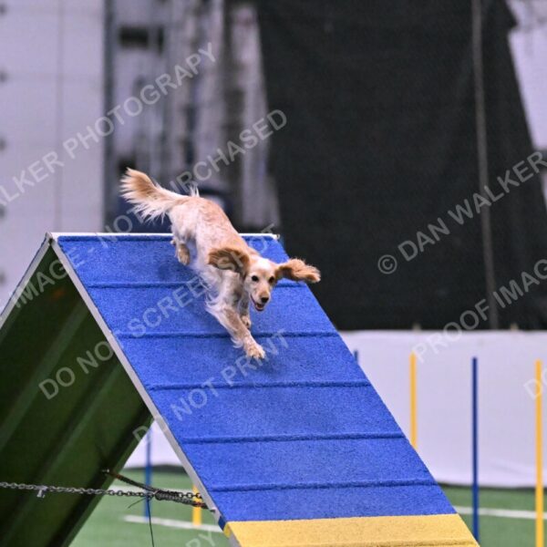 Wendy-Julie-Ashley-00810