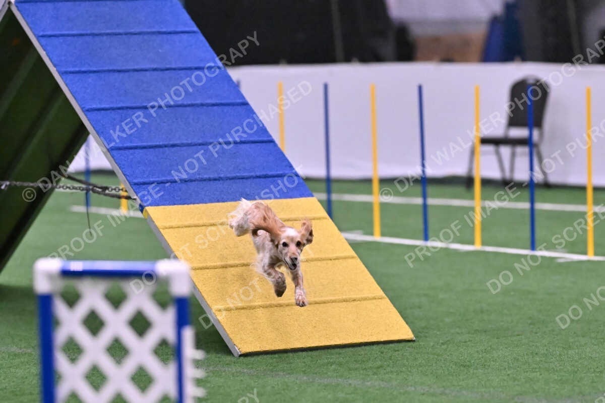 Wendy-Julie-Ashley-00812