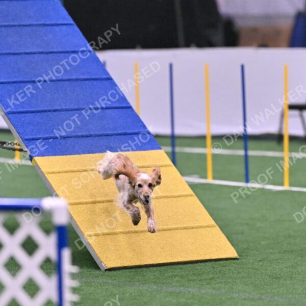 Wendy-Julie-Ashley-00812