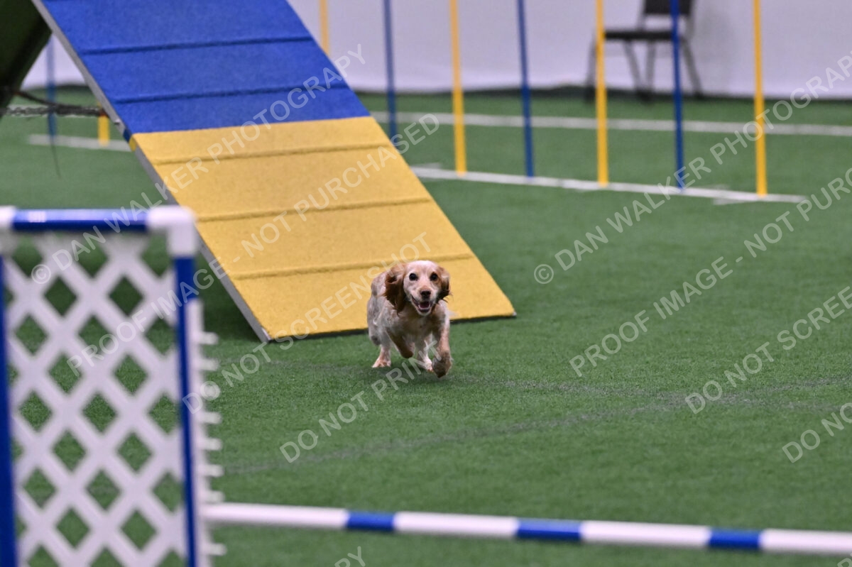 Wendy-Julie-Ashley-00815