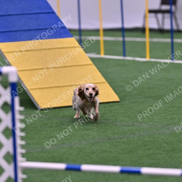 Wendy-Julie-Ashley-00815