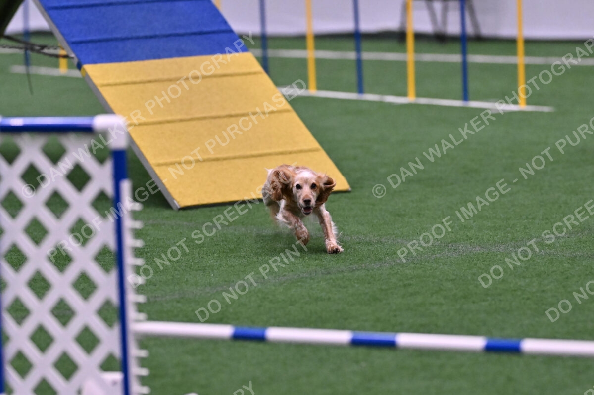 Wendy-Julie-Ashley-00816