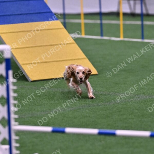 Wendy-Julie-Ashley-00816