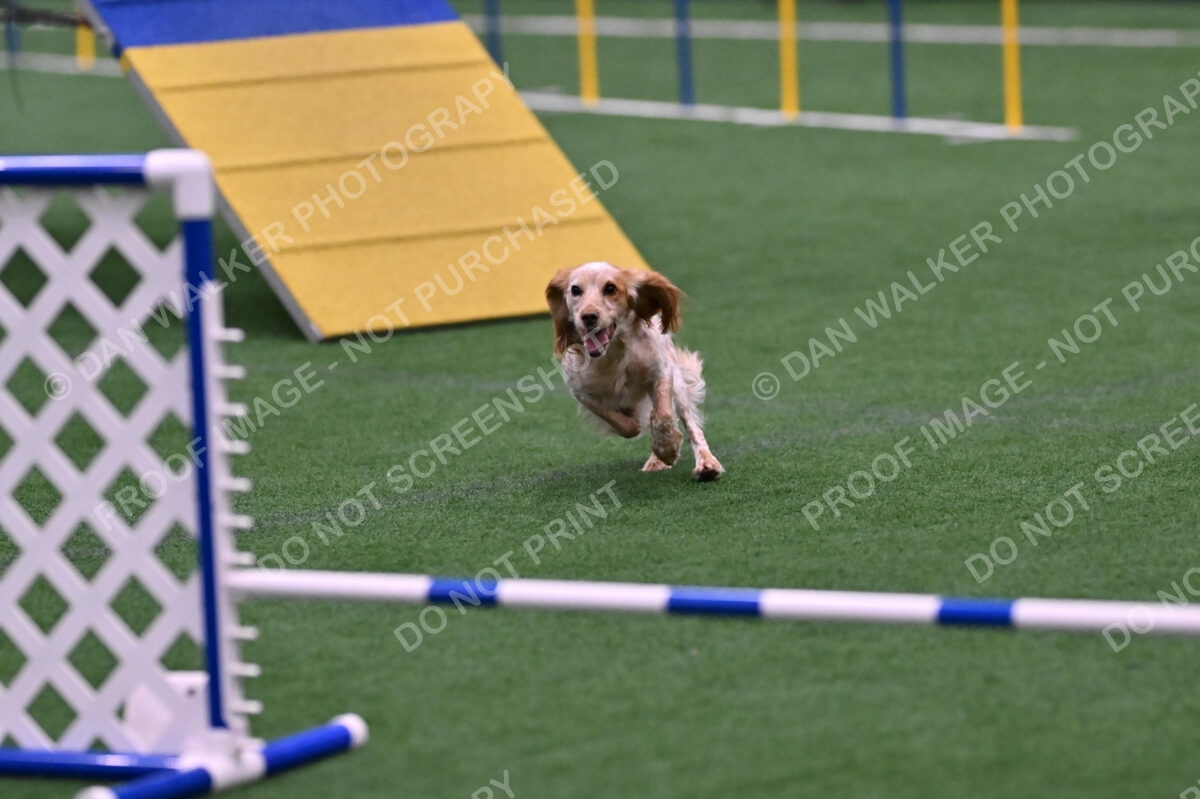 Wendy-Julie-Ashley-00817