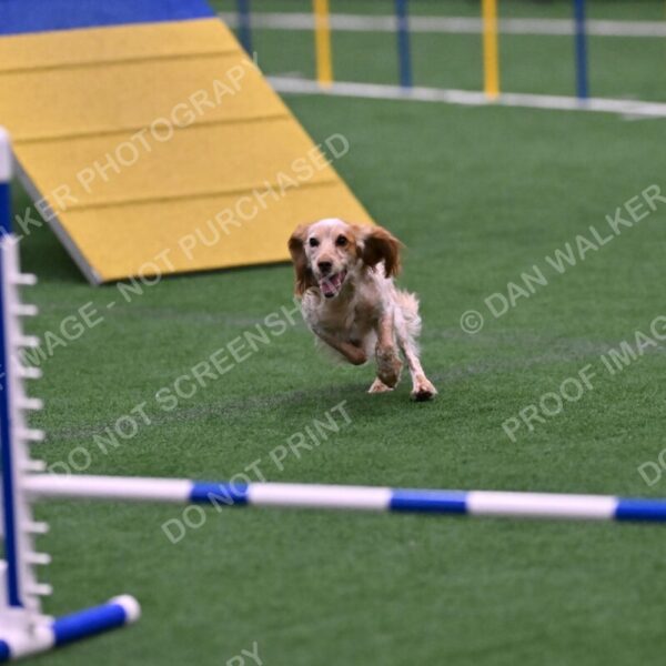 Wendy-Julie-Ashley-00817